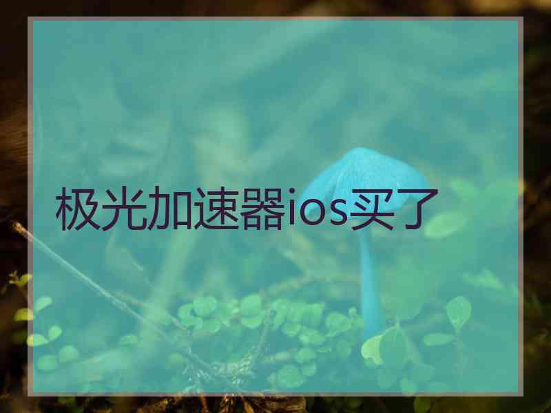 极光加速器ios买了