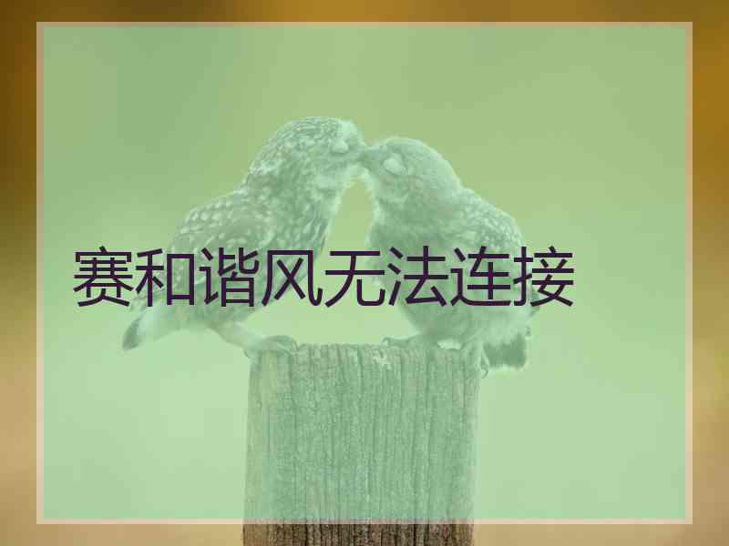 赛和谐风无法连接