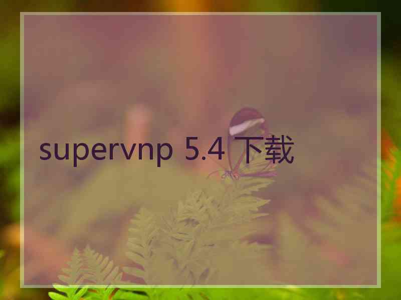 supervnp 5.4 下载