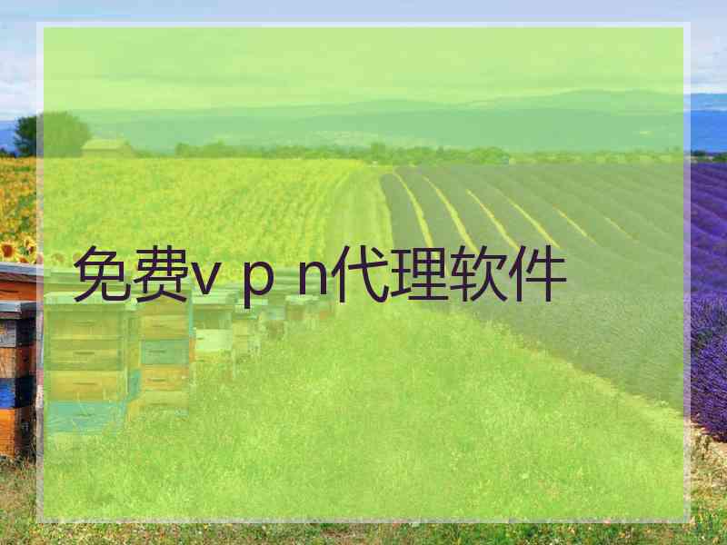 免费v p n代理软件