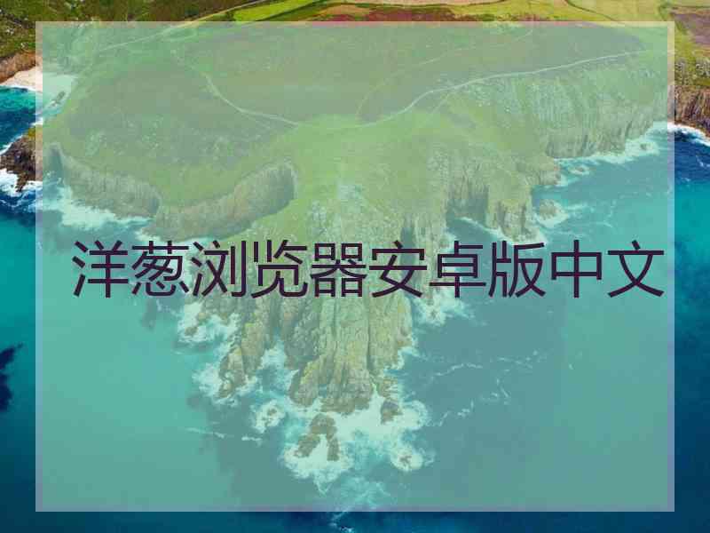 洋葱浏览器安卓版中文