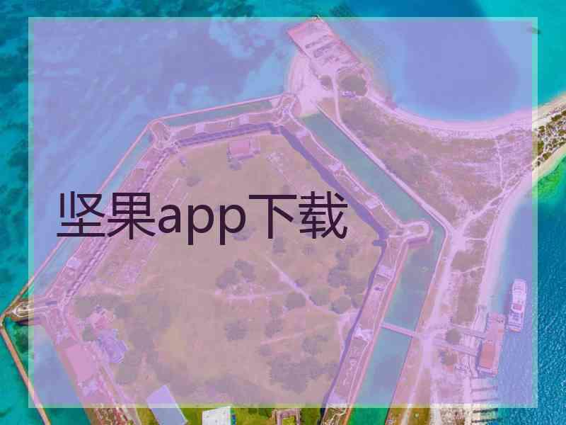 坚果app下载