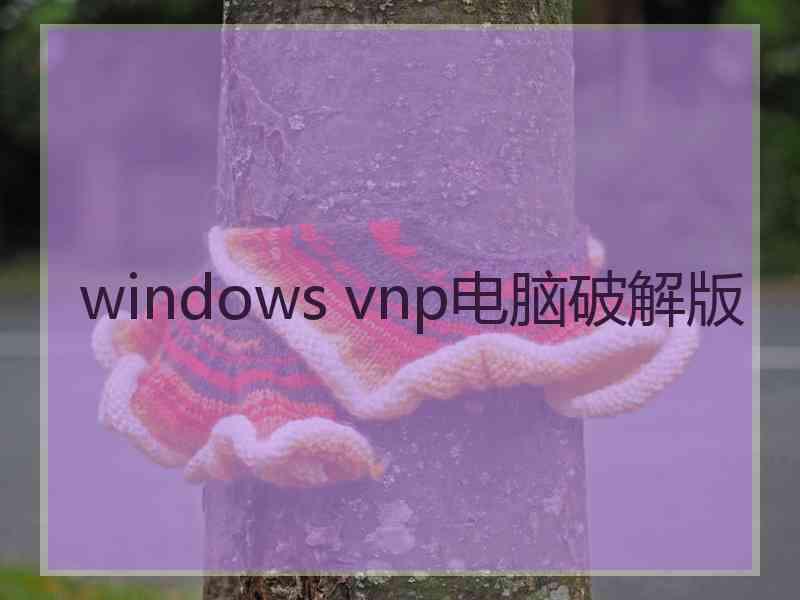 windows vnp电脑破解版