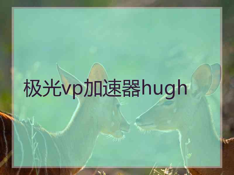 极光vp加速器hugh