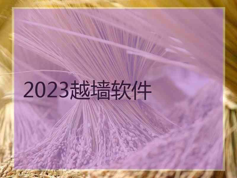 2023越墙软件