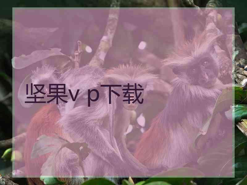 坚果v p下载