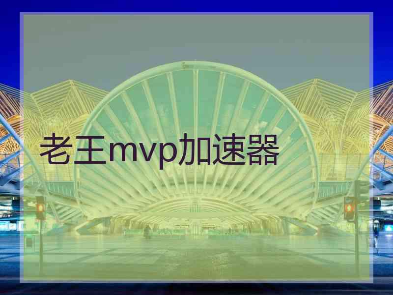 老王mvp加速器