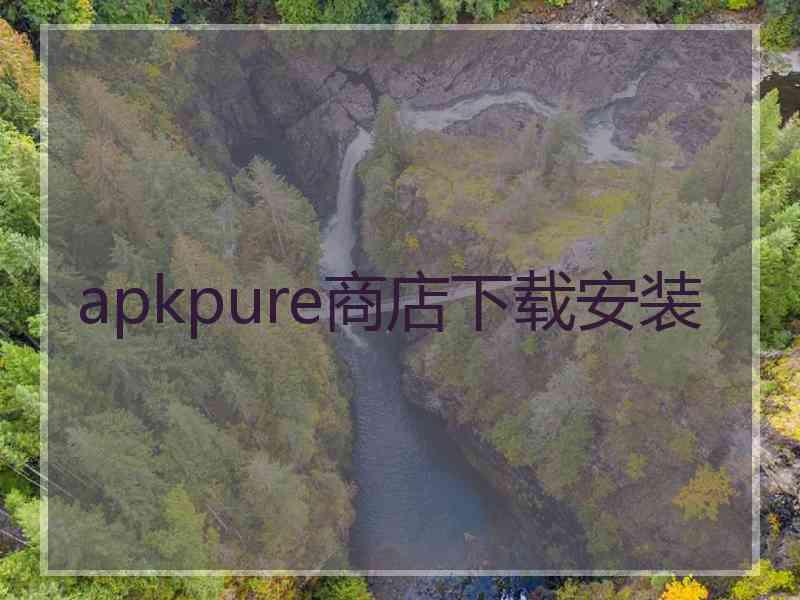 apkpure商店下载安装