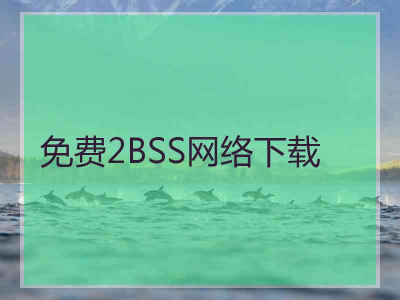 免费2BSS网络下载