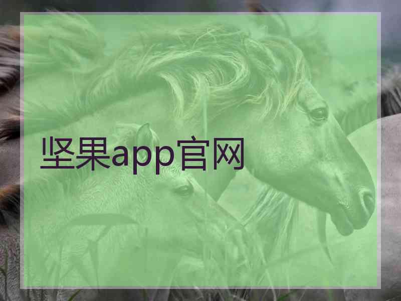 坚果app官网