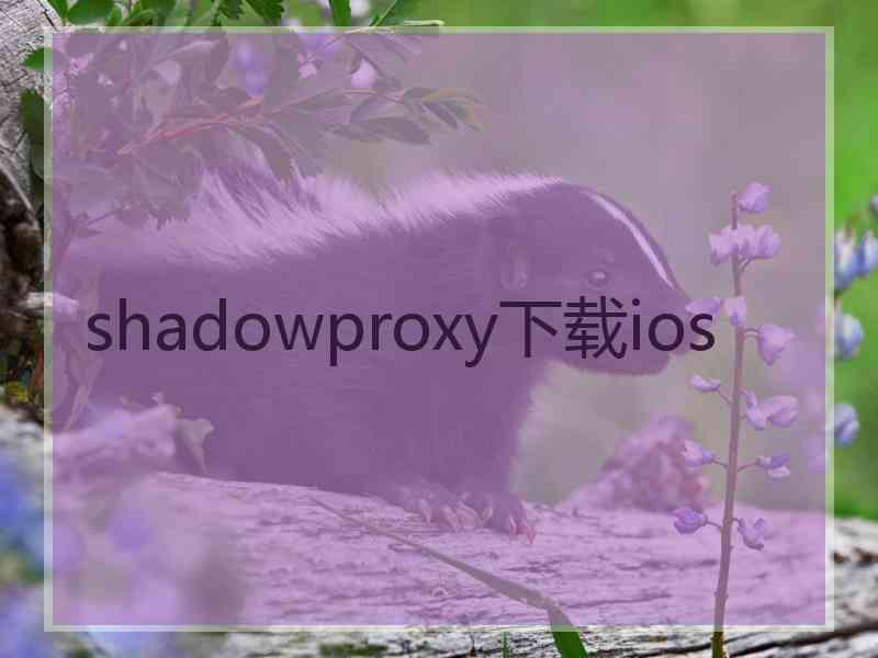 shadowproxy下载ios