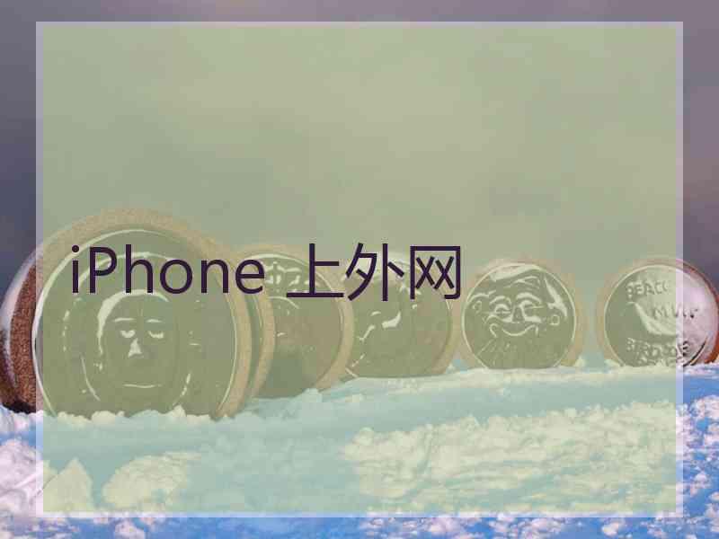 iPhone 上外网