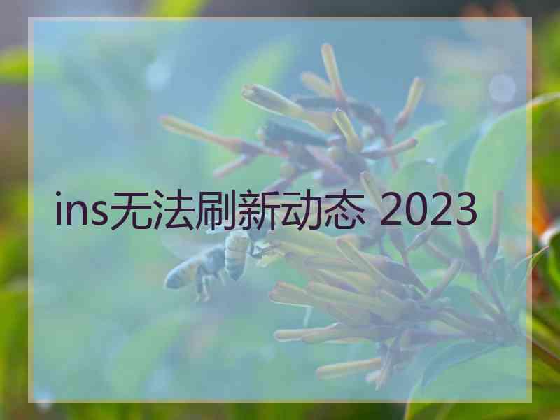 ins无法刷新动态 2023