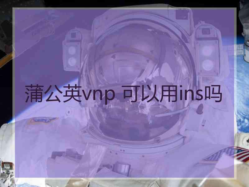 蒲公英vnp 可以用ins吗