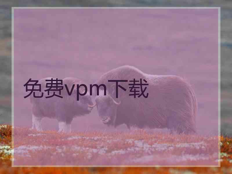 免费vpm下载