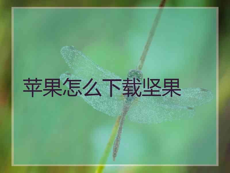 苹果怎么下载坚果