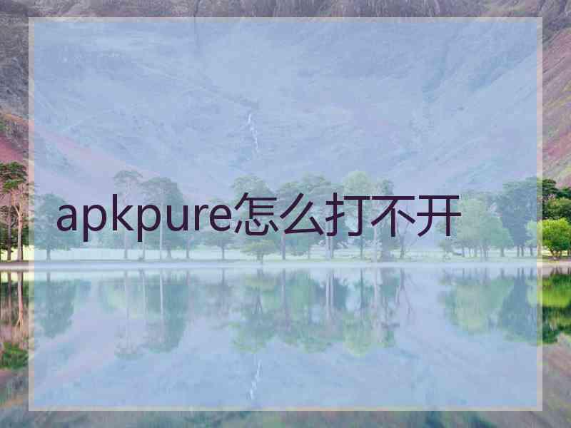 apkpure怎么打不开