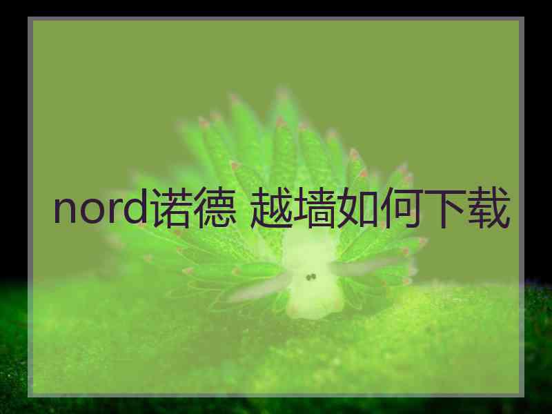 nord诺德 越墙如何下载