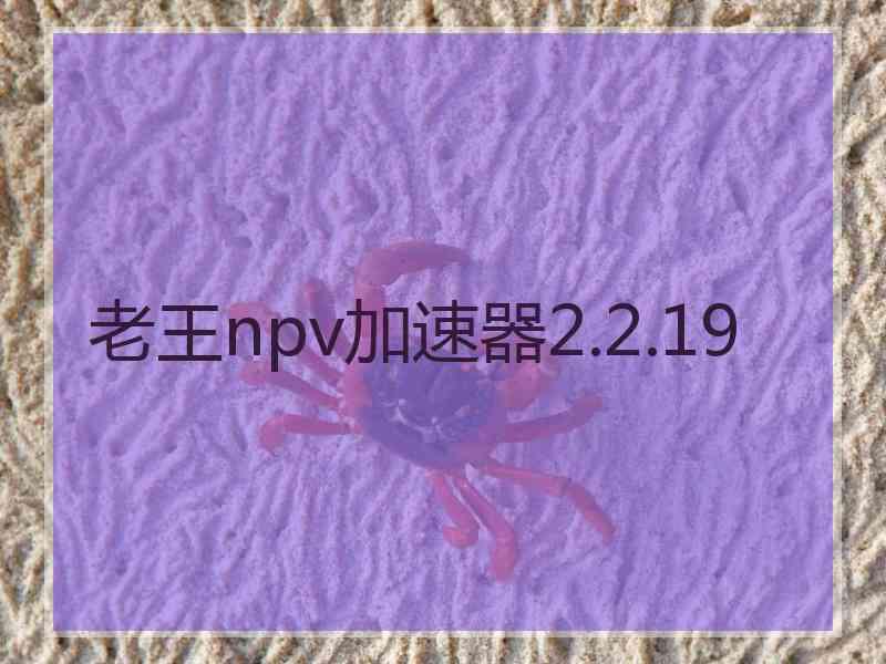 老王npv加速器2.2.19