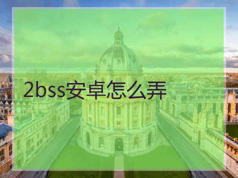 2bss安卓怎么弄