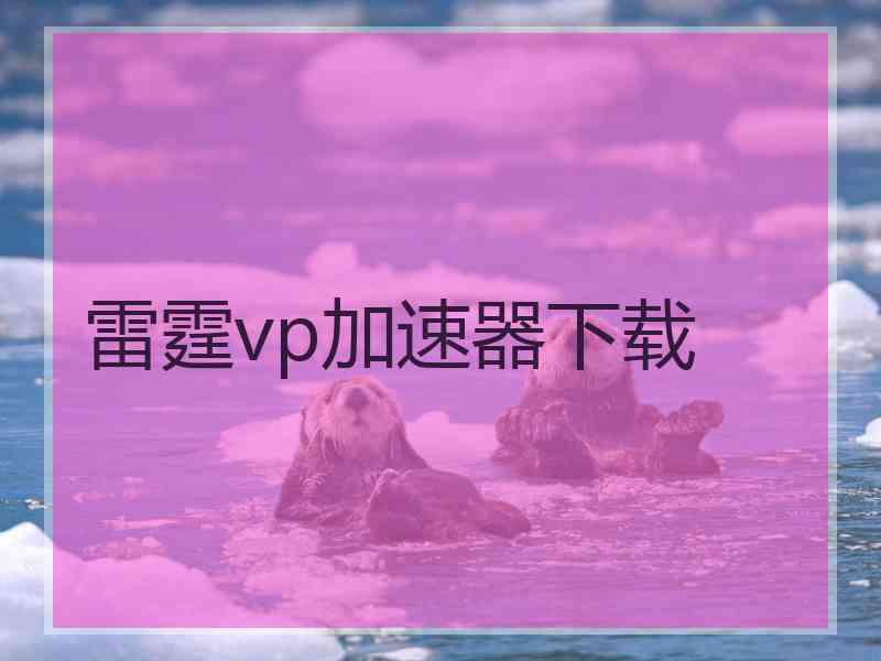 雷霆vp加速器下载