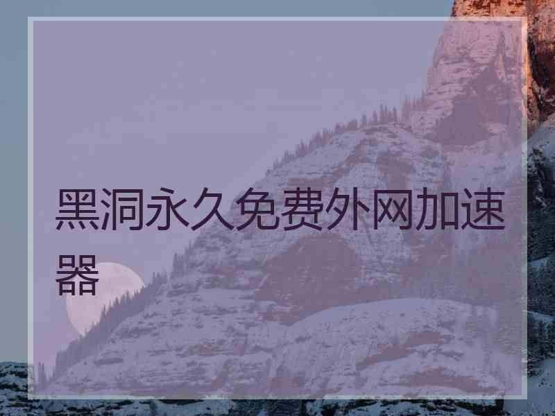 黑洞永久免费外网加速器